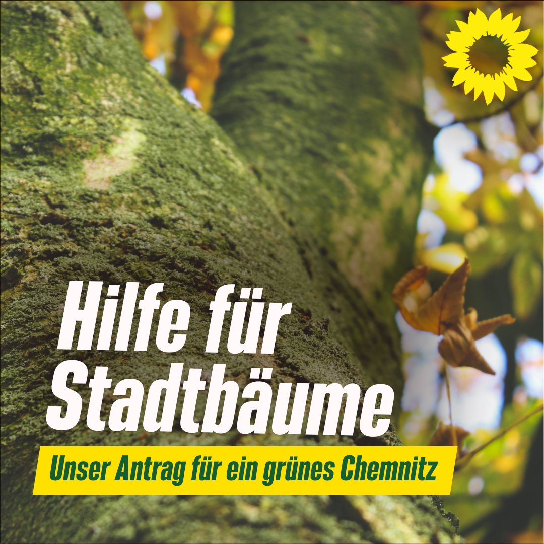 Ein Baum von unten fotografiert, darauf steht: Hilfe für Stadtbäume Unser Antrag für ein grünes Chemnitz"